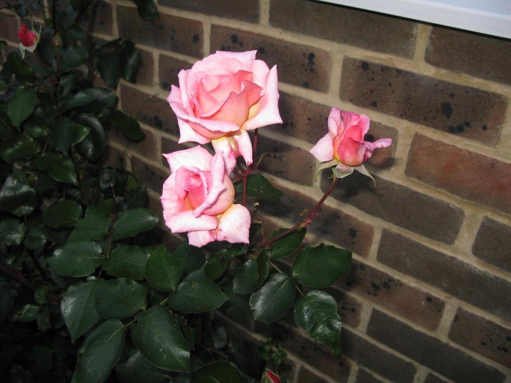 Bed and Breakfast Avebury Life Esterno foto
